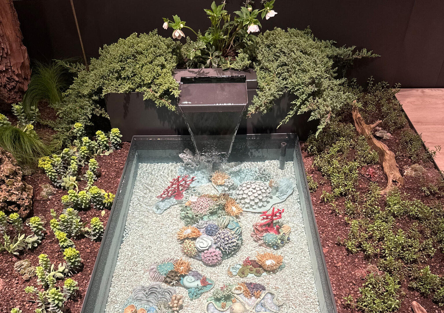 A small garden water feature with a rectangular basin filled with decorative coral sculptures, surrounded by greenery, succulents, and blooming white flowers. Water flows from a spout into the clear basin.