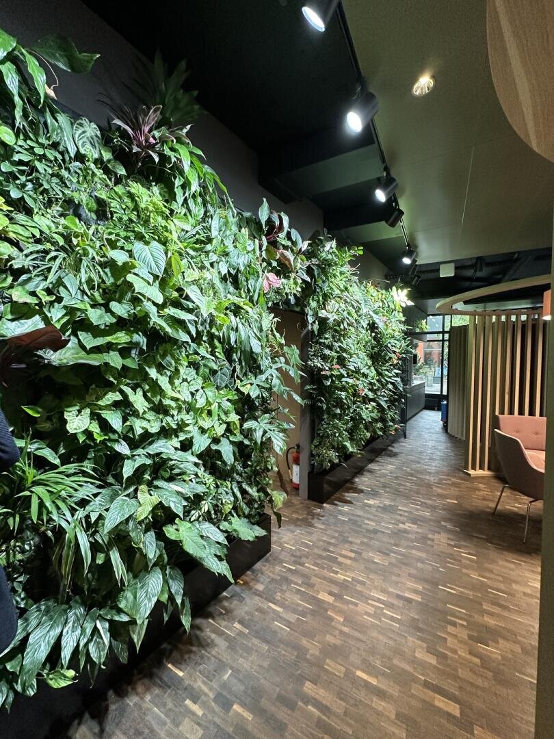 Ein moderner Innenflur mit Holzfußboden und einem üppigen grünen vertikalen Garten an der linken Wand. Auf der rechten Seite befinden sich stilvolle Sitzgelegenheiten neben großen Fenstern, und Deckenleuchten erhellen den Raum.