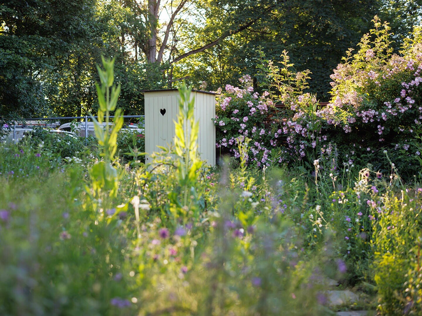 Ein kleines, helles Gartenhäuschen mit einem Herz an der Tür steht inmitten von blühenden Wildblumen und üppigem Grün, mit rosa blühenden Sträuchern im Hintergrund an einem sonnigen Tag.