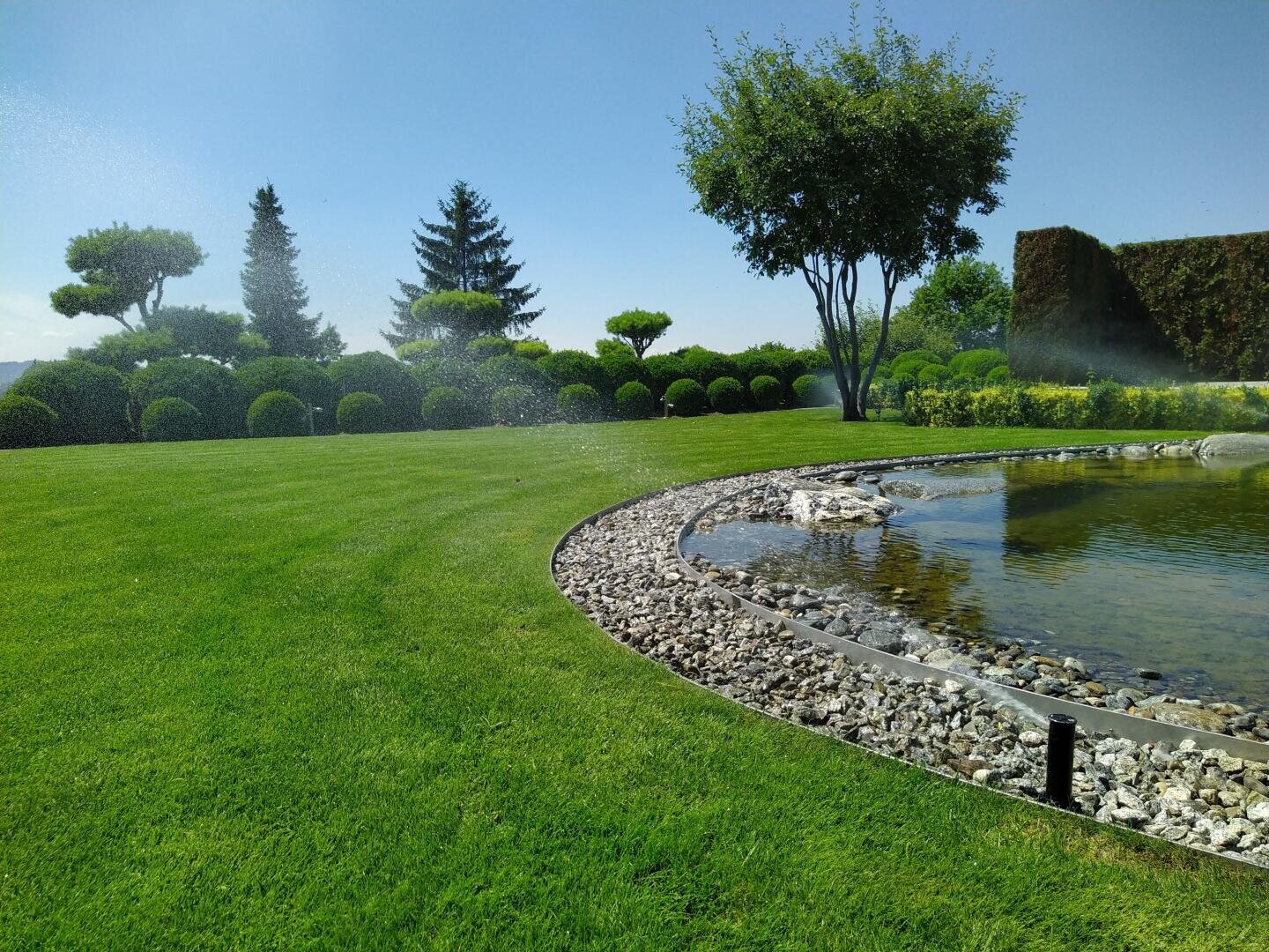 A well-maintained garden with green grass, a curved pond bordered by rocks, trimmed bushes, tall trees, and water sprinklers running under a clear blue sky.