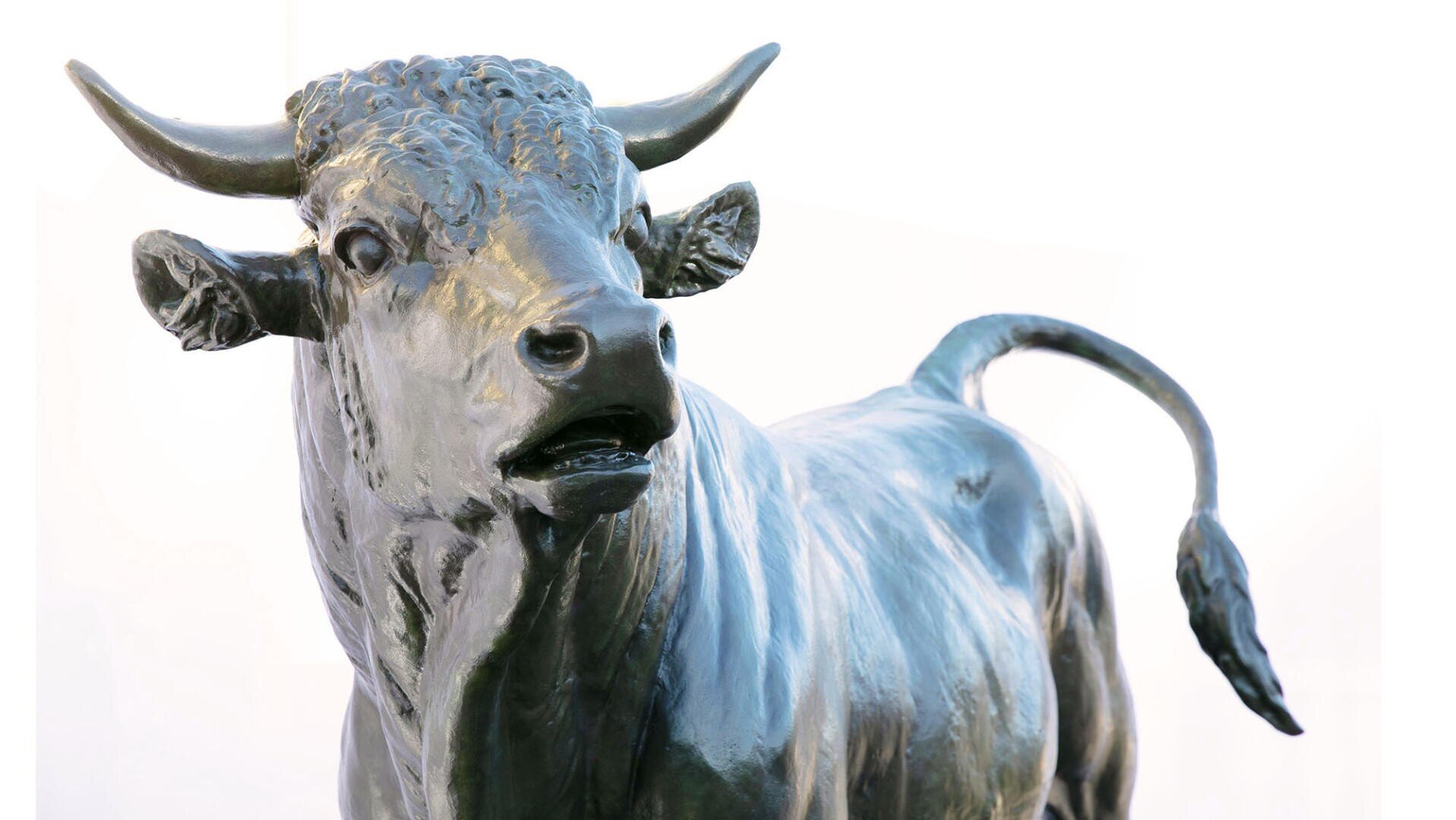 Nahaufnahme einer bronzenen Stierstatue mit detaillierten Merkmalen des Gesichts, der Hörner und des muskulösen Körpers, mit erhobenem Schwanz und leicht geöffnetem Maul, vor einem schlichten weißen Hintergrund.