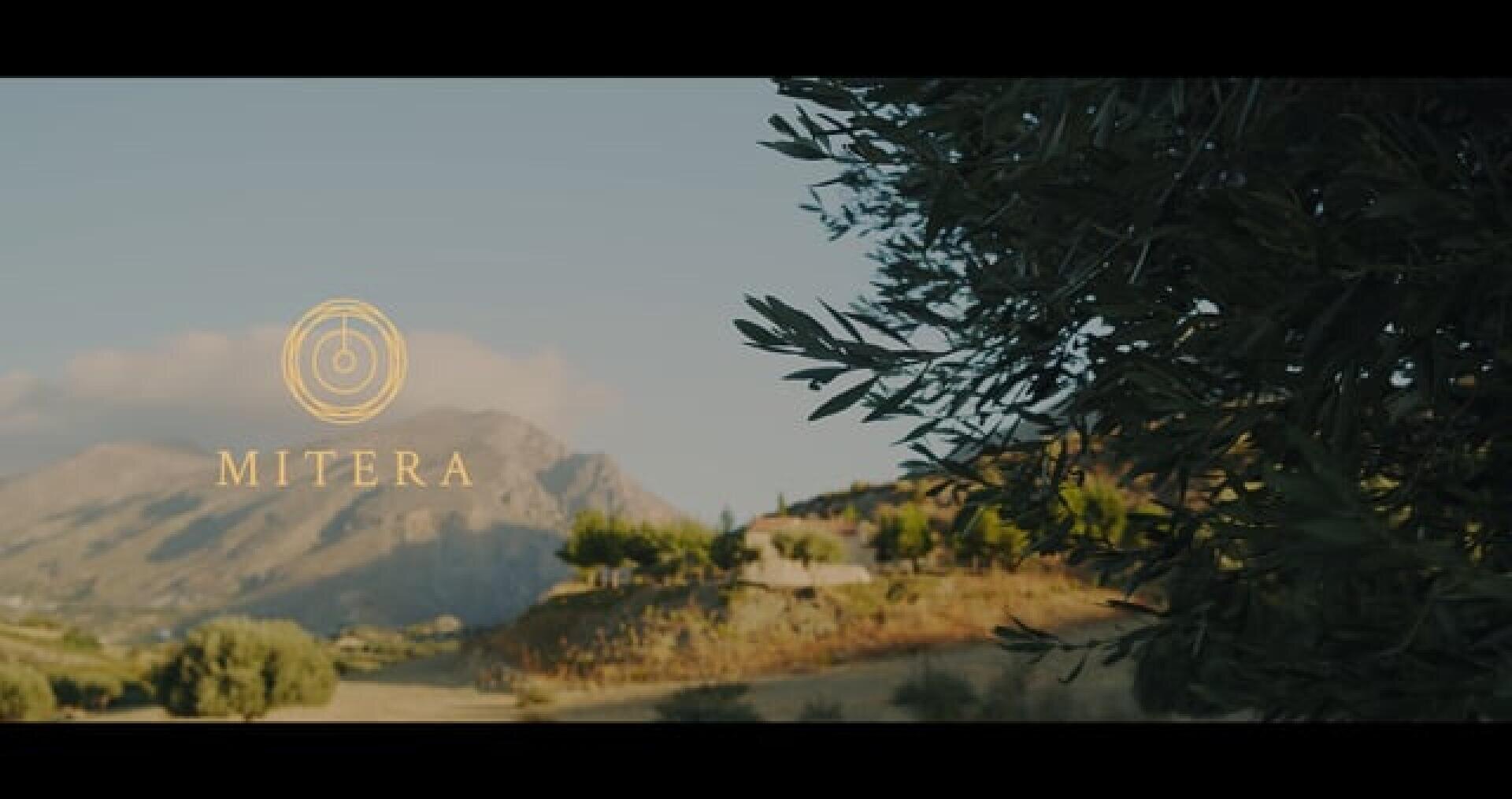 Eine malerische Landschaft mit Bergen und Bäumen unter einem klaren Himmel. Auf der linken Seite ist ein kreisförmiges goldenes Logo über dem Wort MITERA zu sehen. Auf der rechten Seite des Bildes sind Olivenzweige zu sehen.