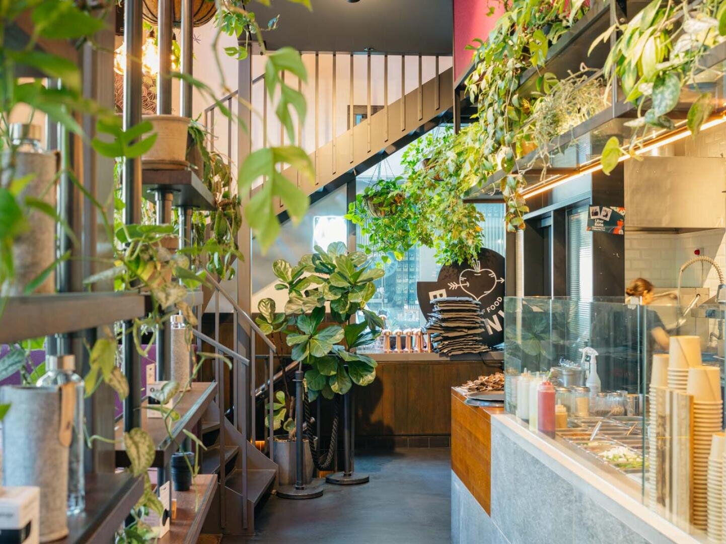 Ein helles, modernes Café-Interieur mit üppigen Grünpflanzen, Holzregalen und einem Tresen mit Getränken und Zubehör. Sonnenlicht strömt herein und unterstreicht die gemütliche, einladende Atmosphäre. Im Hintergrund ist eine Treppe zu sehen.