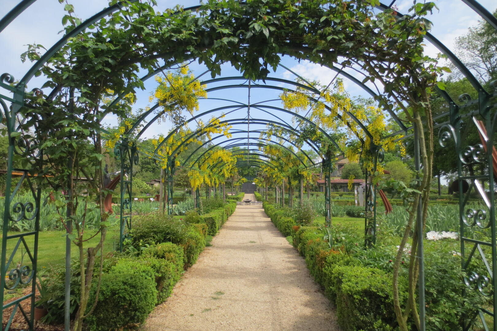 Ein Kiesweg führt unter einer Reihe von Metallbögen hindurch, die mit grünen Ranken und gelben Blumen bedeckt sind, umgeben von ordentlich gestutzten Hecken und üppigen Gartenpflanzen an einem sonnigen Tag.