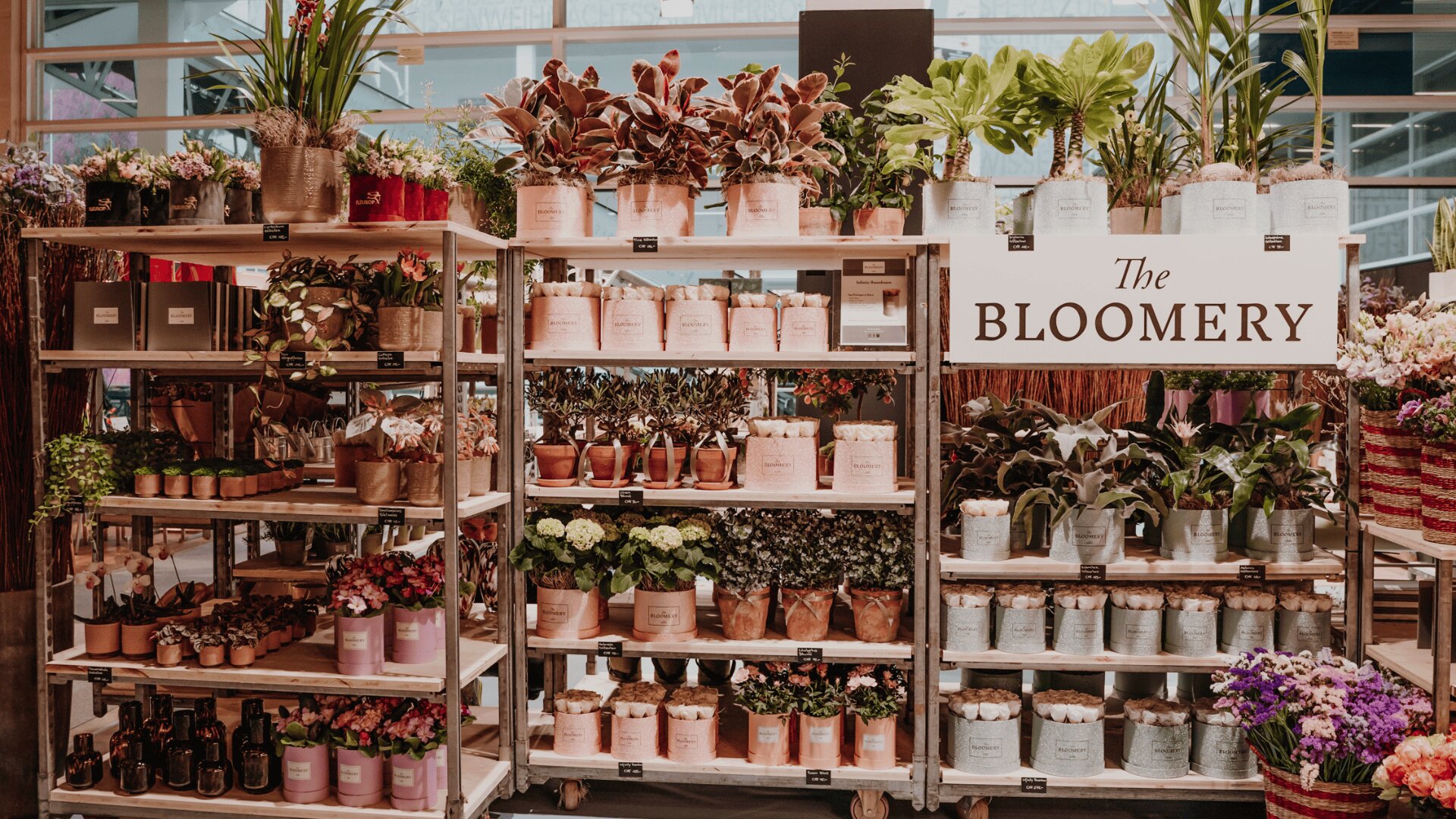 Die Regale sind mit einer Vielzahl von Topfpflanzen und Blumen in pastellfarbenen Töpfen gefüllt; über der Auslage prangt ein weißes Schild mit der Aufschrift "The Bloomery", im Hintergrund sind Glasfenster und weitere Pflanzen zu sehen.