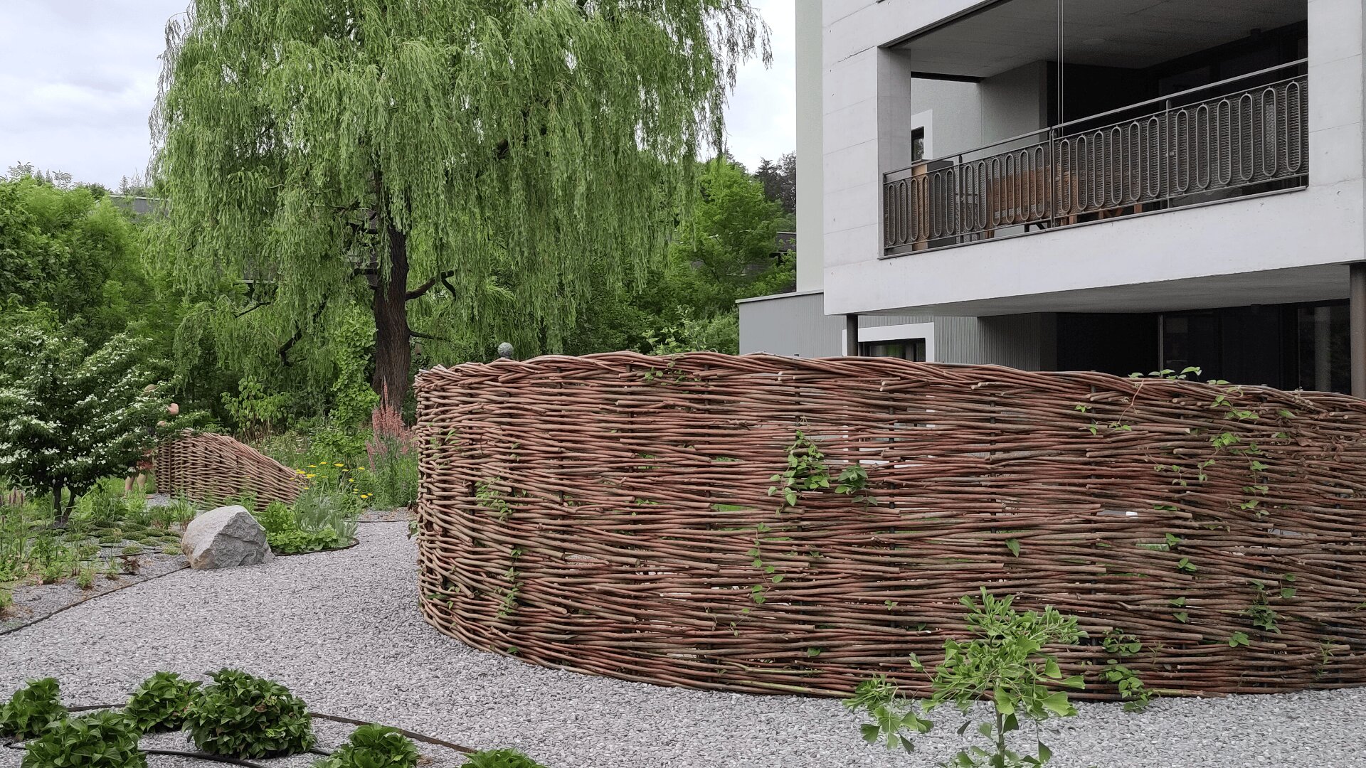 Geflochtene Weidenzäune säumen einen Kiesweg neben einem modernen Gebäude mit einem Balkon. Üppiges Grün, Blumen und ein großer Weidenbaum umgeben den Bereich und schaffen eine heitere Gartenatmosphäre.