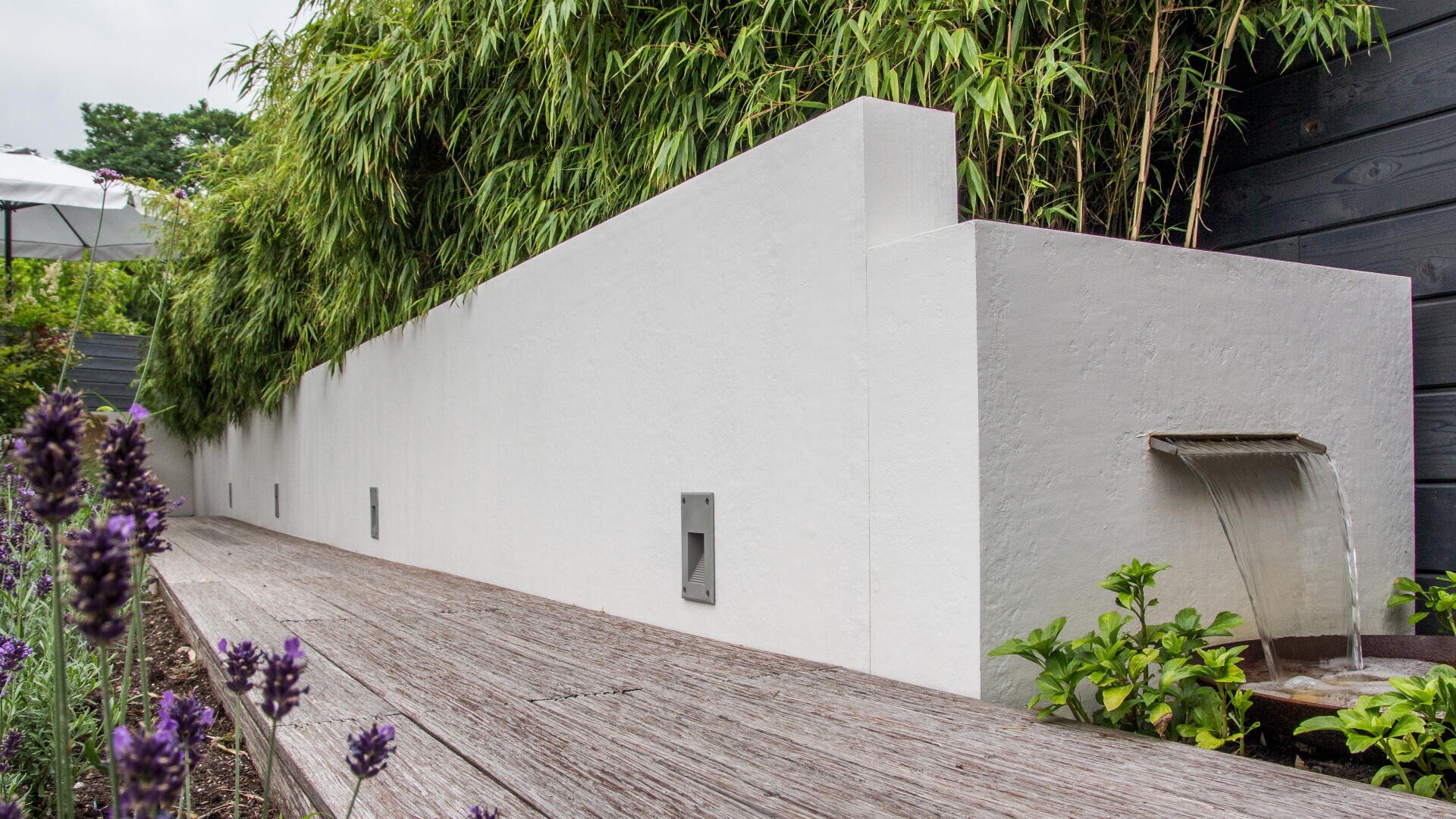 A modern white garden wall with a small built-in water feature, surrounded by greenery and purple flowers, next to a wooden walkway.