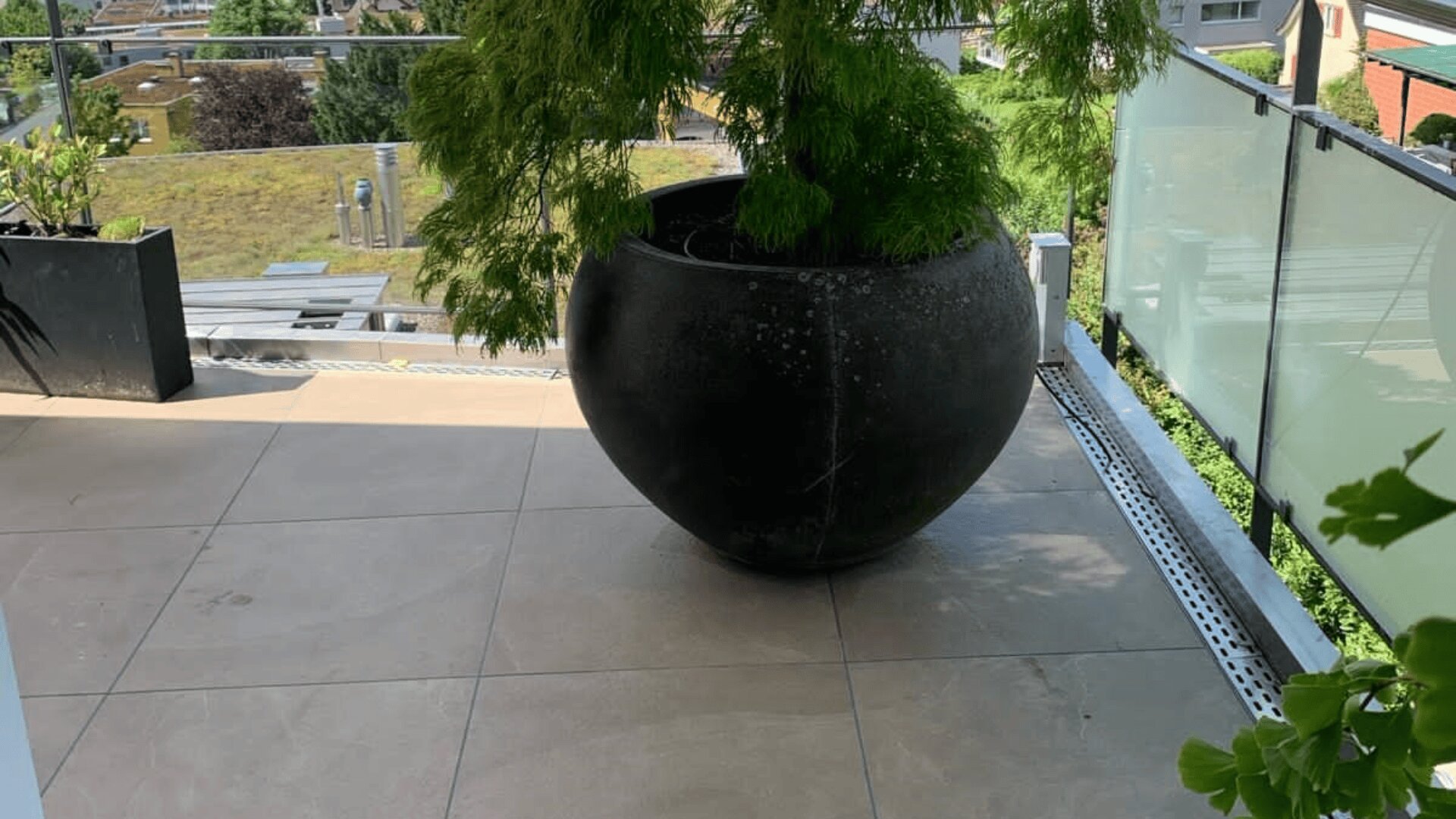 Ein großer runder schwarzer Pflanzkübel mit einem grünen, belaubten Baum steht auf einem gefliesten Balkon mit Glasgeländer, von dem aus man die benachbarten Gebäude und Bäume überblicken kann.