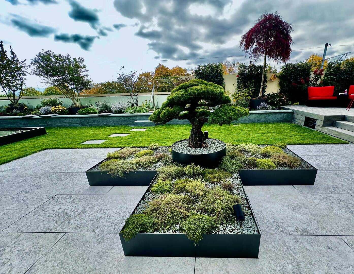 Ein moderner Garten mit einem zentralen Bonsaibaum in einem erhöhten, kreuzförmigen Pflanzgefäß, umgeben von verschiedenen Bodendeckern, mit gepflegtem Rasen, Trittsteinen und modernen Sitzgelegenheiten im Freien im Hintergrund.