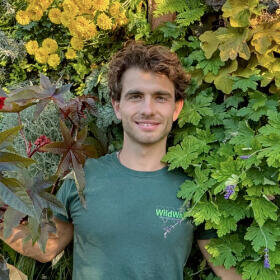 Joao Wild