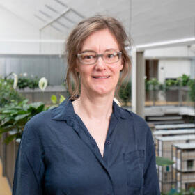 Andrea Haslinger