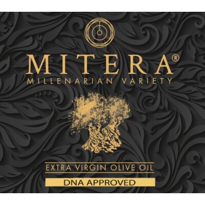 Logo Mitera GmbH