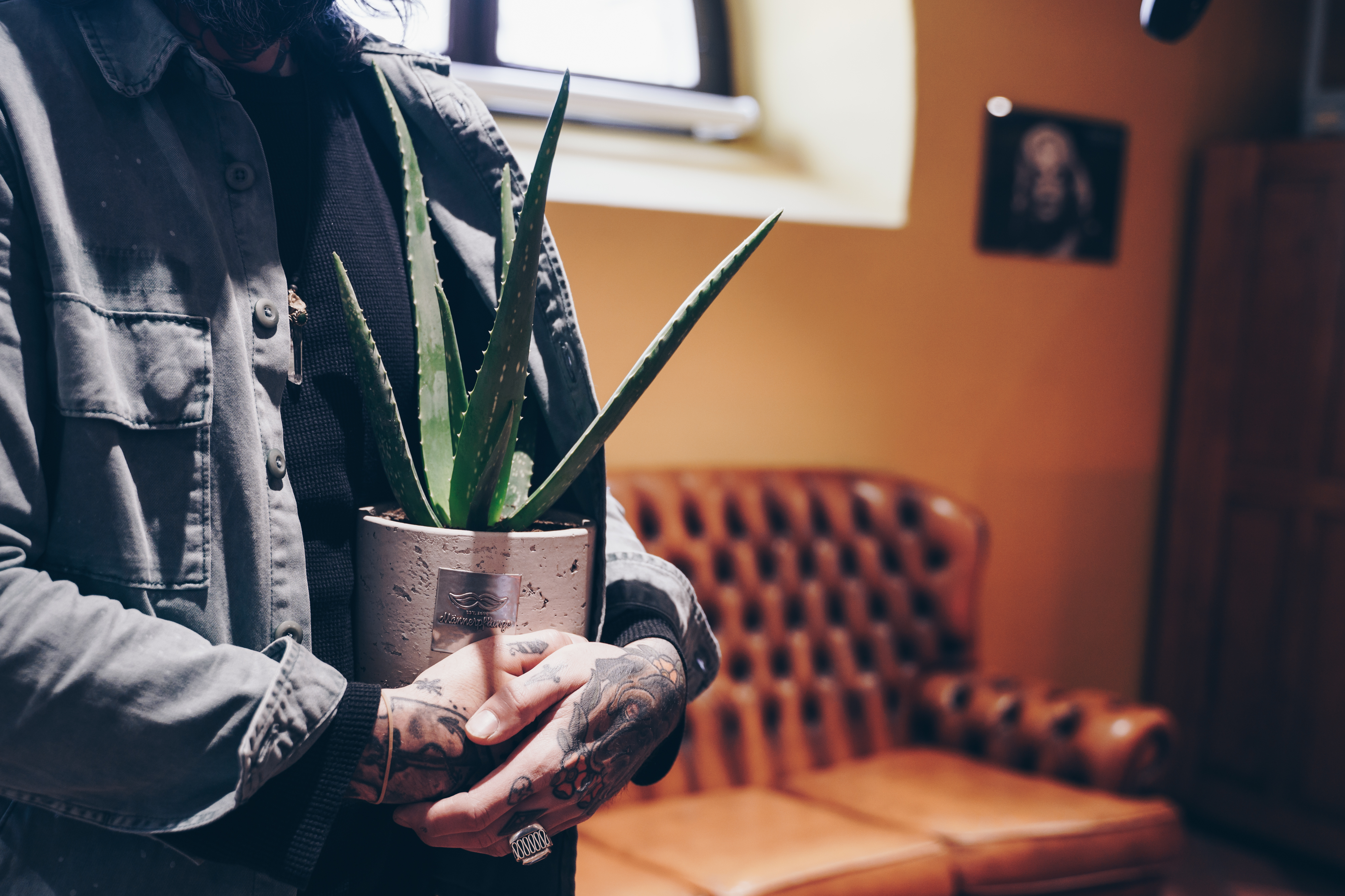 Eine Person mit tätowierten Händen hält eine getopfte Aloe-Vera-Pflanze in einem Innenraum und steht vor einer braunen Ledercouch und einer gelben Wand mit einem Fenster und einem gerahmten Bild.