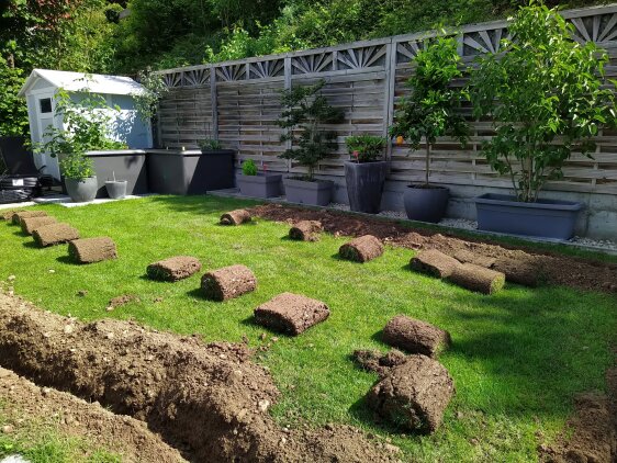 Fresh turf, partially rolled out on a lawn, with trenches of earth in the foreground. Potted plants and trees line a wooden fence, and a small white garden shed can be seen in the background.