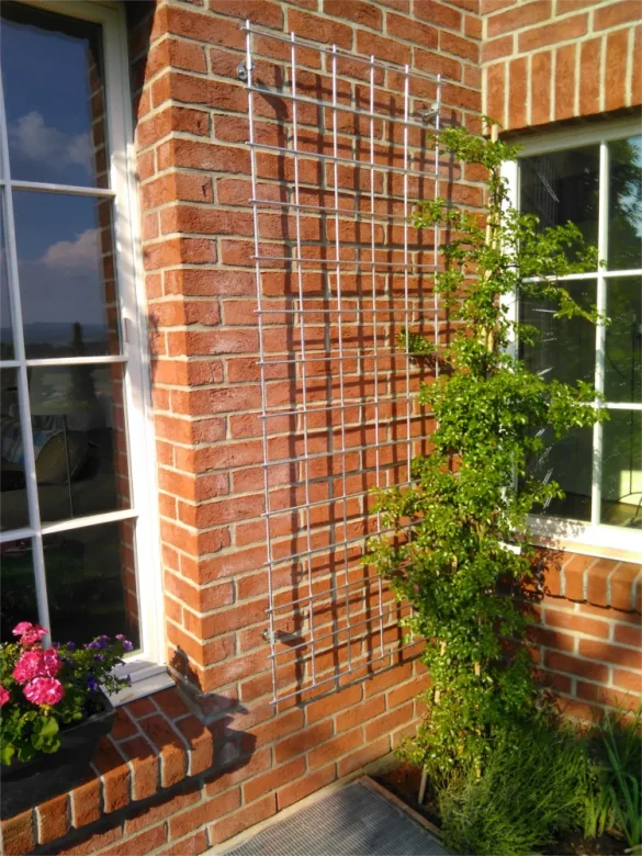 In der Nähe eines Fensters ist ein Metallspalier an einer Ziegelwand befestigt, das eine Kletterpflanze trägt. Auf der Fensterbank steht ein Übertopf mit rosa Blumen, und das Sonnenlicht wirft Schatten auf die Wand.
