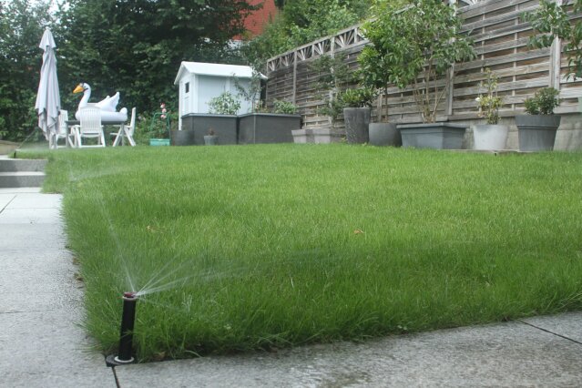 A backyard with a green lawn being watered by a pop-up sprinkler. There are potted plants along a wooden fence, a small playhouse, and a patio with an umbrella and an inflatable swan in the background.